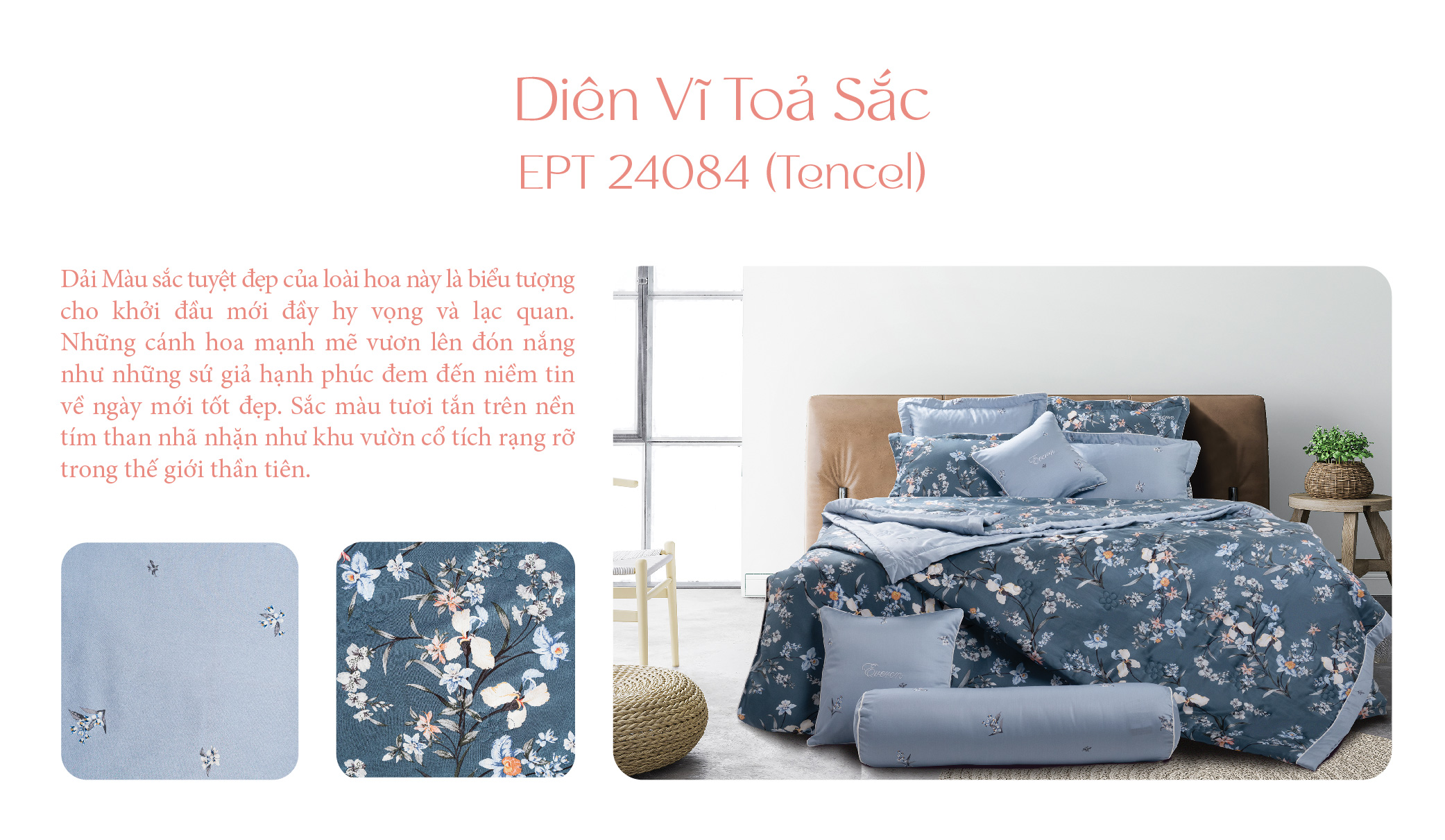 Combo Diên Vĩ Tỏa Sắc